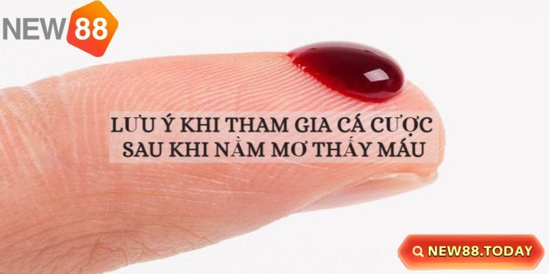 Lưu ý khi cá cược nằm mơ thấy máu Lưu ý khi cá cược nằm mơ thấy máu